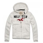 HOLLISTER M,G,GG Ref:1319250028